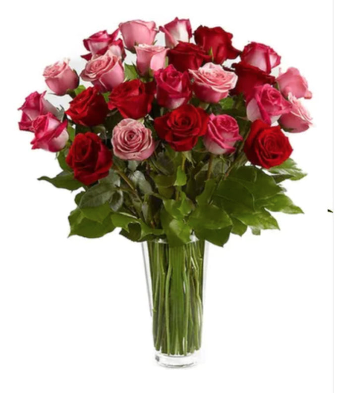 Two Dozen Red & Pink Roses