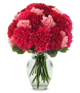 Very Berry Carnations