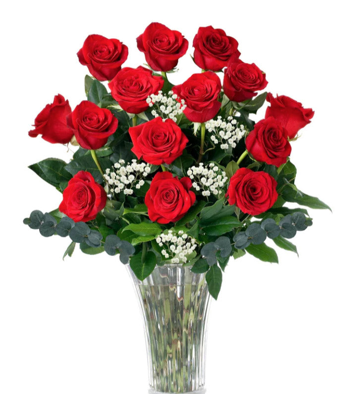 Red Roses One Dozen