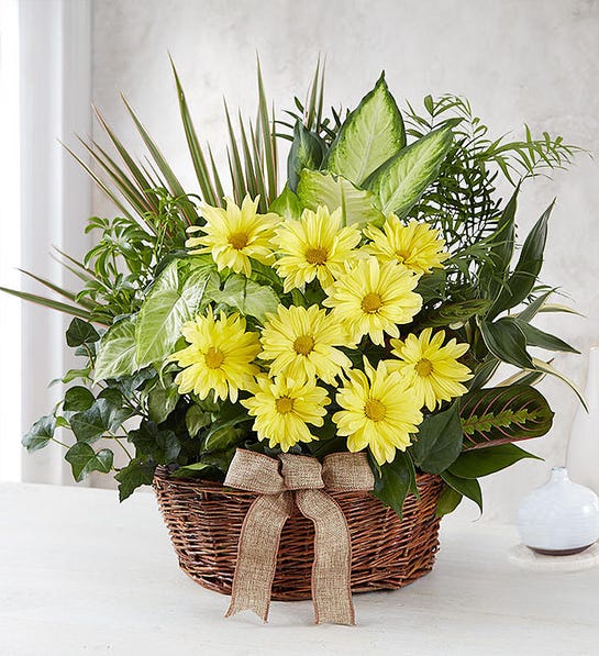 Fresh Cut Flowers For Sympathy Basket