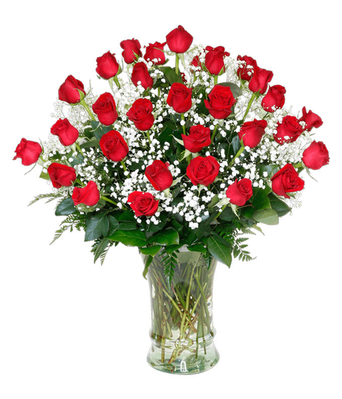 Three Dozen Red Roses