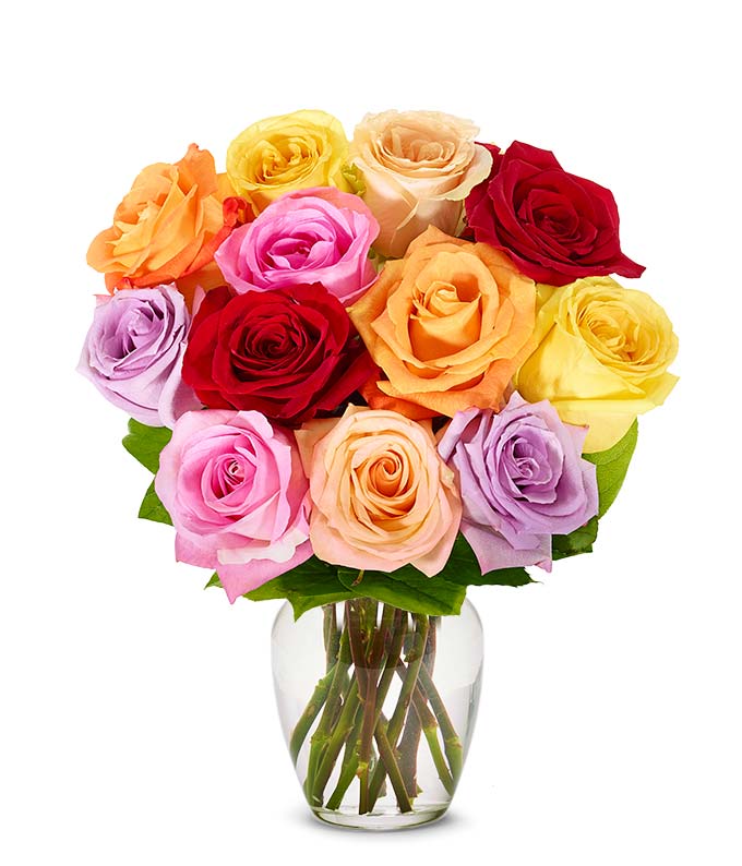 Rainbow Dozen Roses